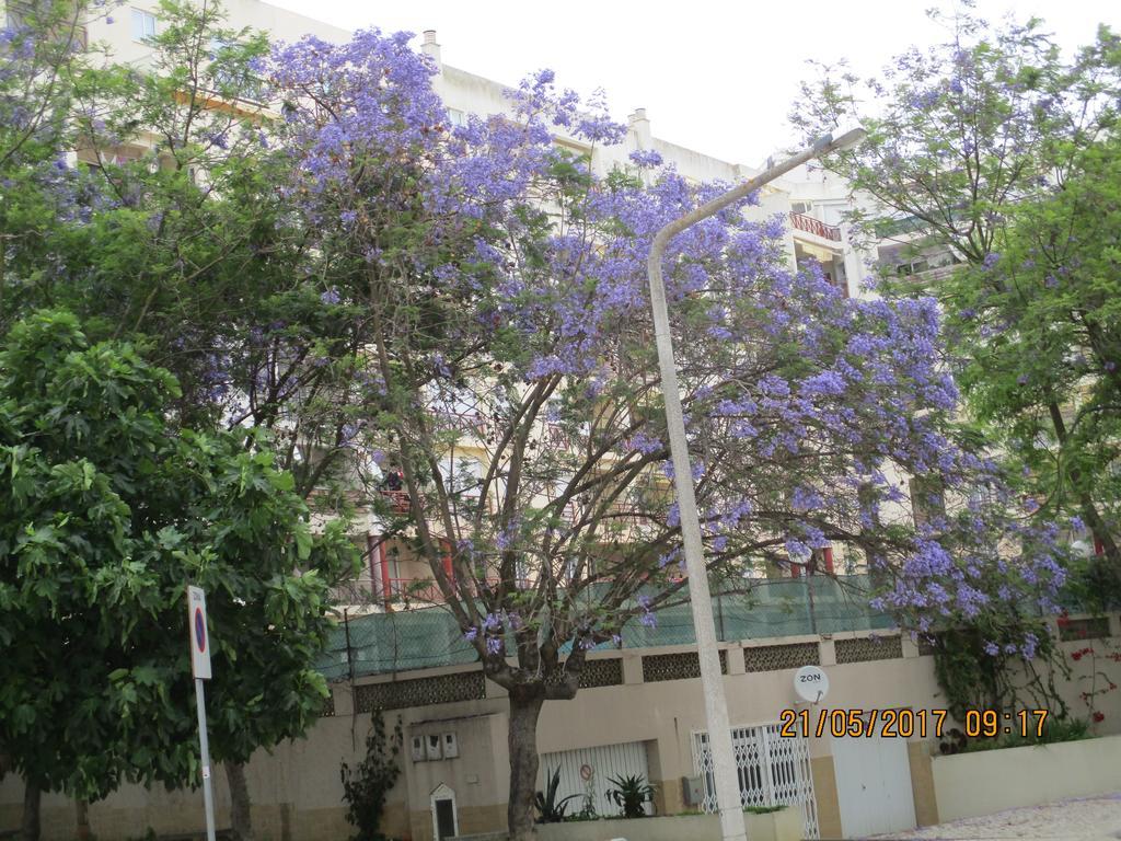 Edificio Canoa Armação de Pêra Buitenkant foto